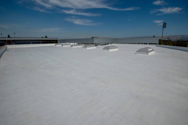 Best Cold Roofs  in Truth Or Consequences, NM